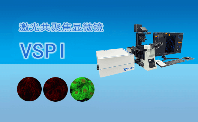 激光共聚焦显微镜的光源系统如何维护